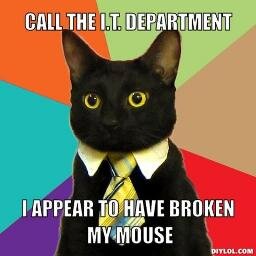 Sassy female I.T. Agent/Developer at MacReport Media