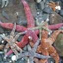 Rebecca Cable - @BeckyKBelle - Twitter