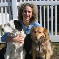 I am a holistic vet writing and practicing in New York City and Connecticut.
