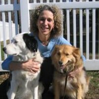 Marcie Fallek, DVM (@mindfulpetdoc) 's Twitter Profile