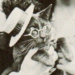 HistoricalCats's profile picture. Random finds with cats from the Digital Public Library of America (not affiliated with the DPLA) (but I _am_ affiliated with @afrmalantonio)
