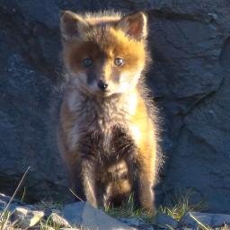 paulbarrett1964's profile picture. A love for outdoors and nature especially whats on our doorstep  that we so often miss