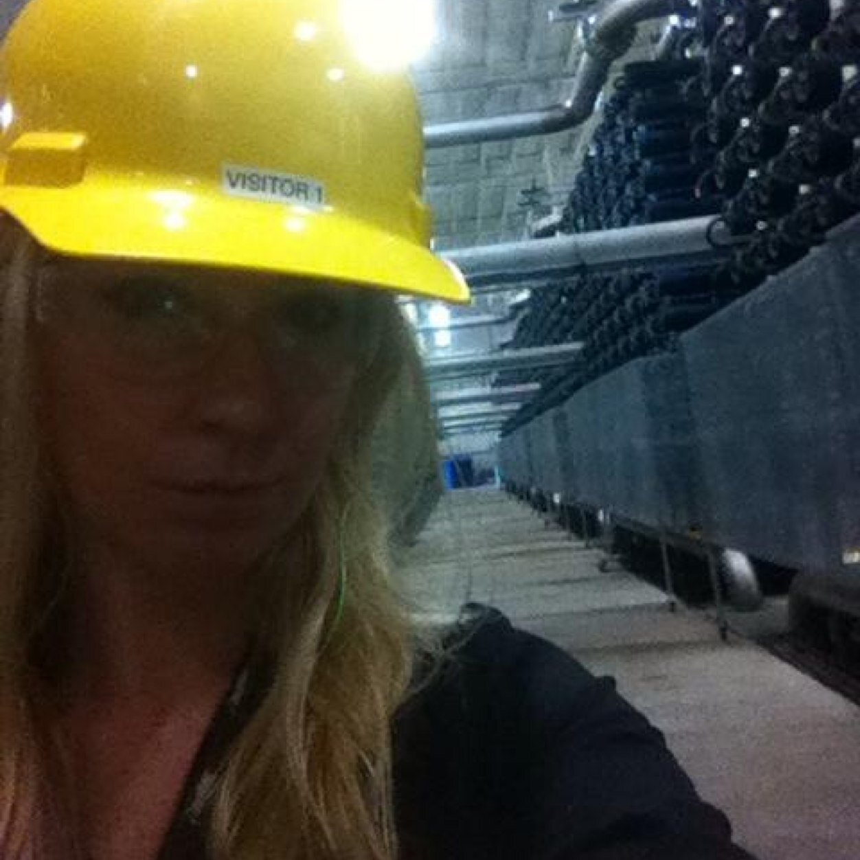 Scientist. If there is a line, I am above it.