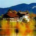 eweisensee's profile picture. 