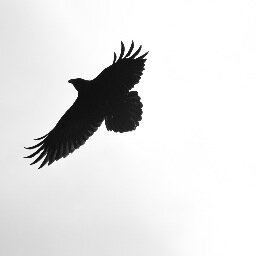 ChecotePhoto's profile picture. Tweets from Kenneth; entrepreneur, artist, and traveler. Check out website for photos from N. America.