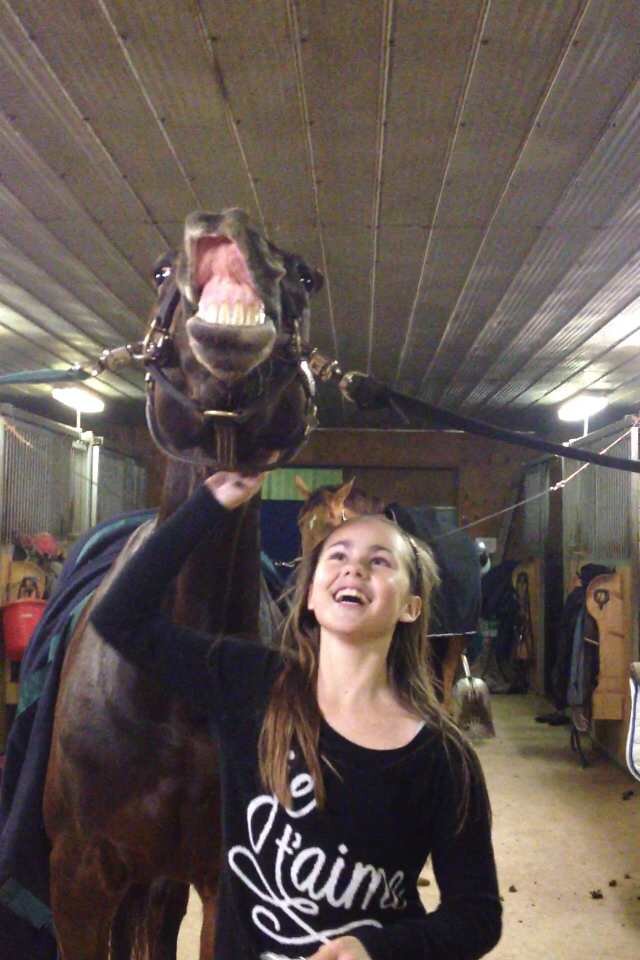 carmina is my wonder horse, sweetie is my super pony and riding is my life 3
~ jumper 
~ equestrian 
~ a circuit 
~ youtuber :P