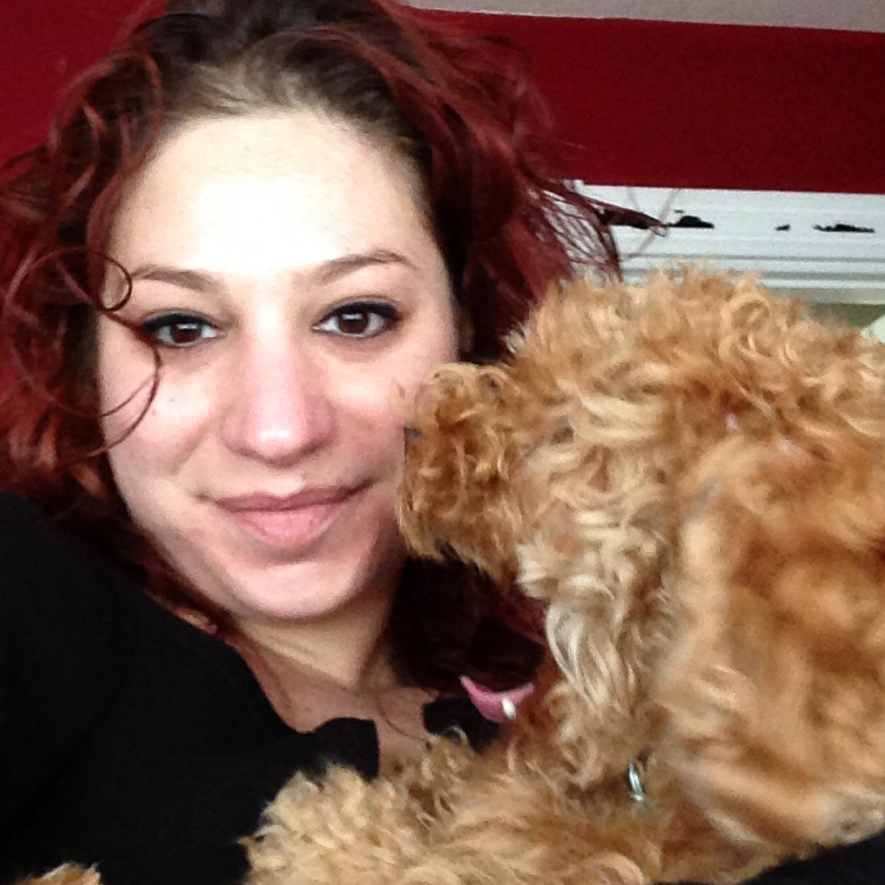 Phriend and canine enthusiast. Be, excellent to eachother.