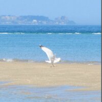 Nadia Spang Bovey (@nsb_unil) 's Twitter Profile