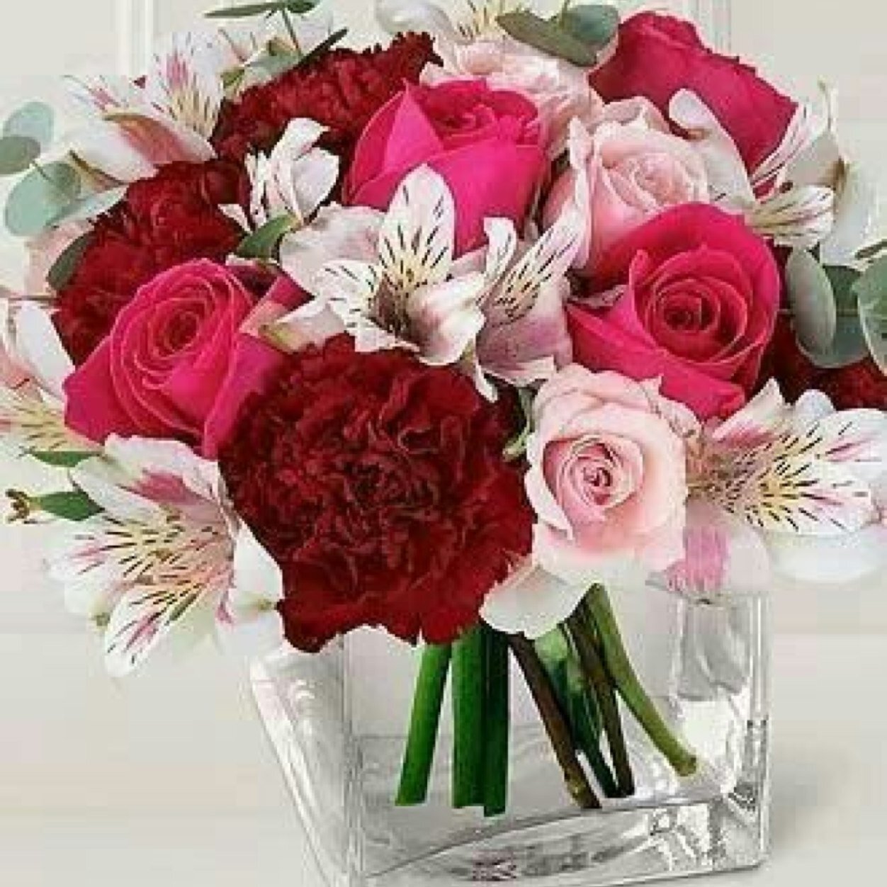 abeerbahsaly72's profile picture. 