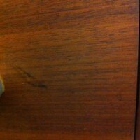 Joe Pala (@joepala) 's Twitter Profile