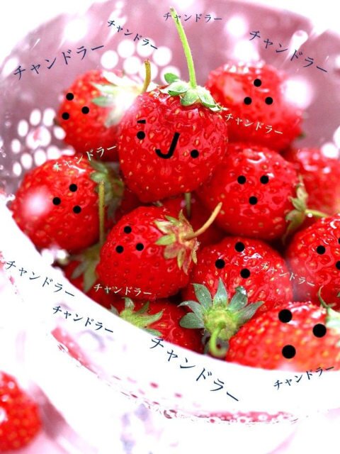 senyoo's profile picture. い～ちごっ！い～ちごっ！いちご食べたい～っ♪(∵) 東方神起(ﾎﾐﾝ)とBIGBANG(ﾖﾝﾍﾞ)がﾁｮｱﾖ☆