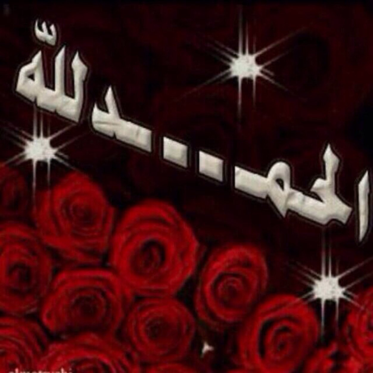 لاَ إلَـهَ إلاّْ الـلَّـه مُـحَـمْـدُ رَسُـولَ الـلَّـه