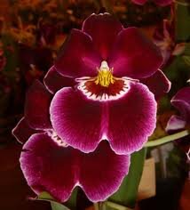 Aparecidalab's profile picture. 