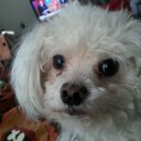 ana rollins - @arsun24seven - Twitter