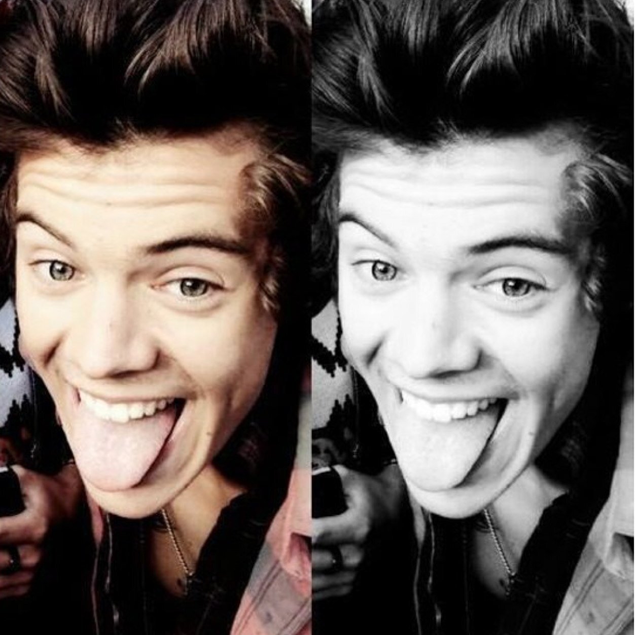 Directioner. Harry is life.