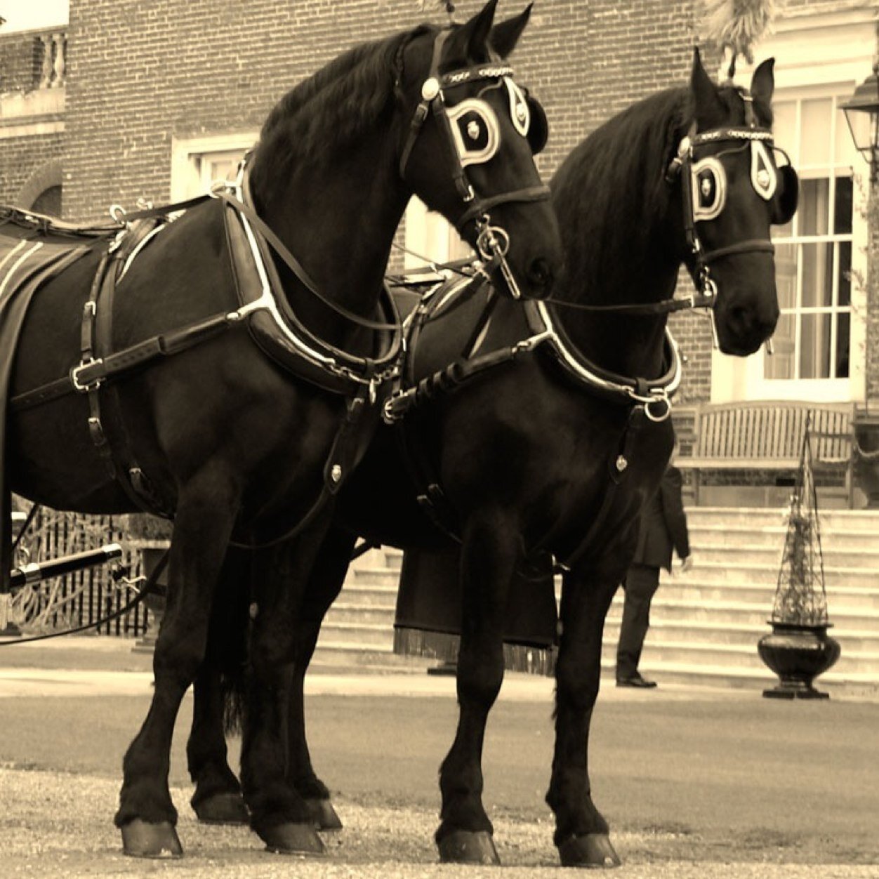 Independent Family-run Funeral Directors. Established 1948 http://t.co/5mCkcMr7EG