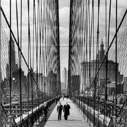 Urban Planner, St. John's, Chaminade Flyer, NYU Wagner