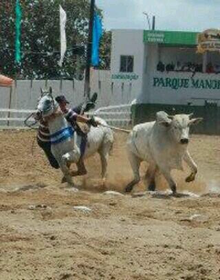 diogomedeiros39's profile picture. 