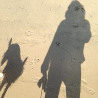 Rachel Marlowe (@marlower) 's Twitter Profile