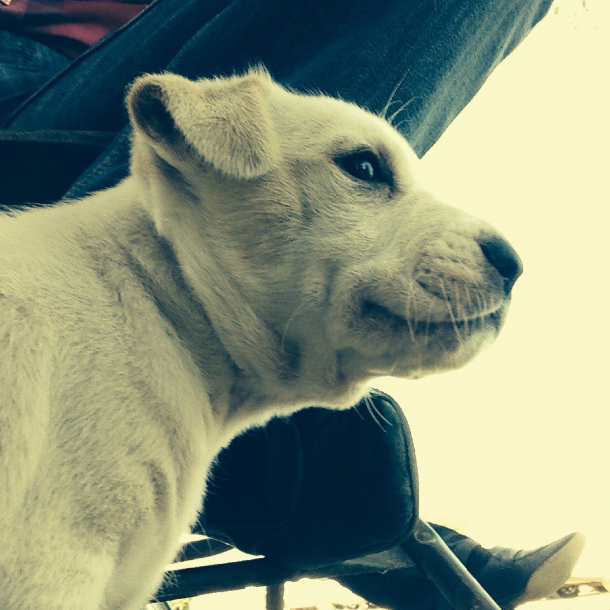 mtz0510's profile picture. 