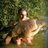 Profile Picture of Andrew Hargreaves (@@AndyHargy) on Twitter