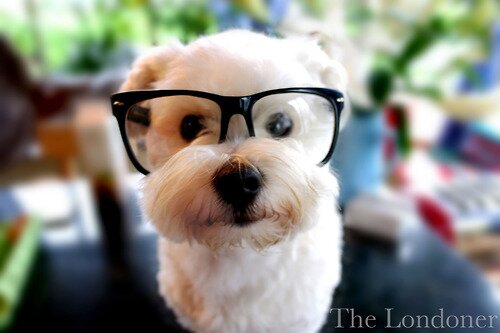 kileabisamel's profile picture. m encanta cosinar y amo los videojuegos