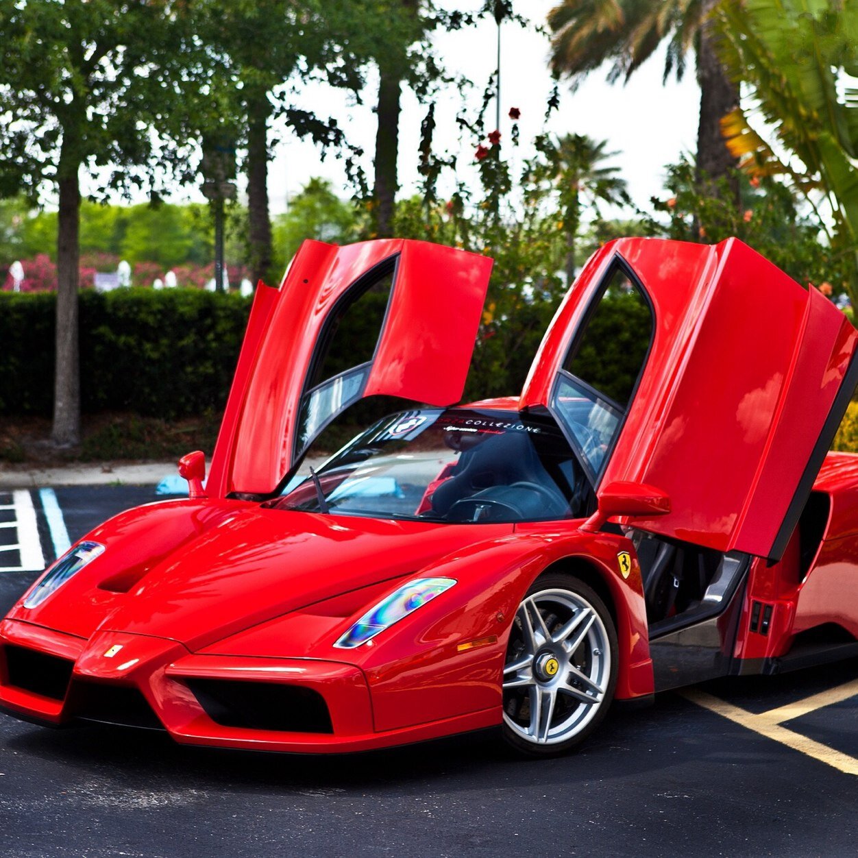 devco10's profile picture. 