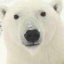 Polar Power - @Roger_Tam - Twitter