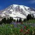 Mount Rainier (@MountRainierWA) Twitter profile photo