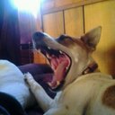 William Scaff - @WScaff - Twitter