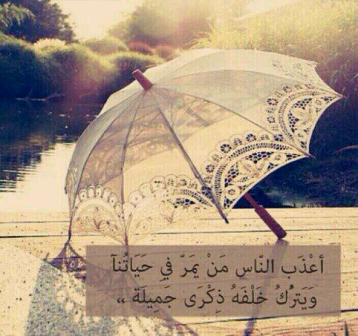 على كف القدر نمشي ولا ندري عن المكتوب