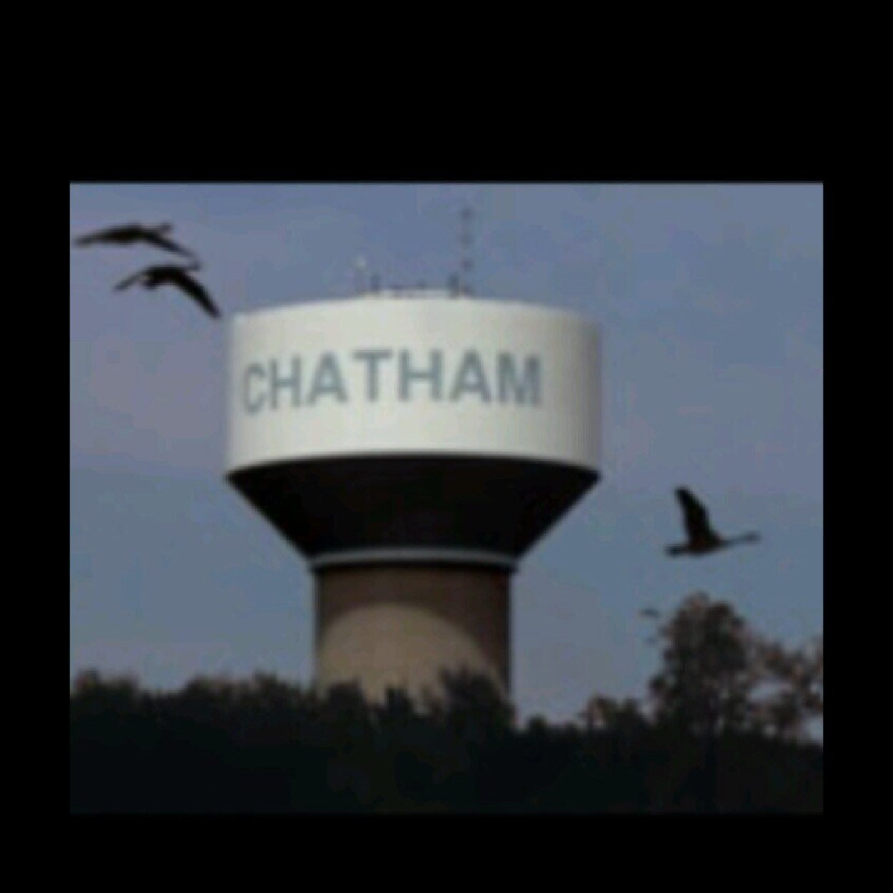 chatham_kent's profile picture. 