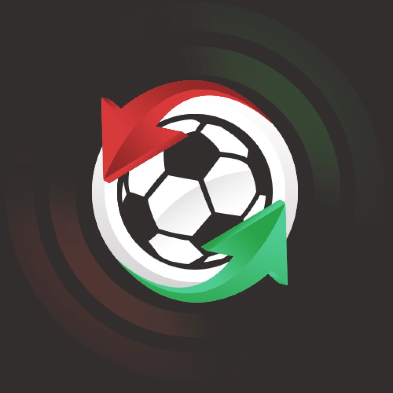 An automated service for Fantasy #FPL managers. Confirmed bonus points, injury status updates, and price tracker information. Created by @ffmapp