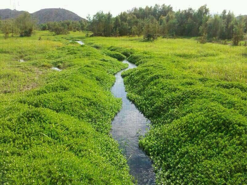 ‏‏مهندس صناعي