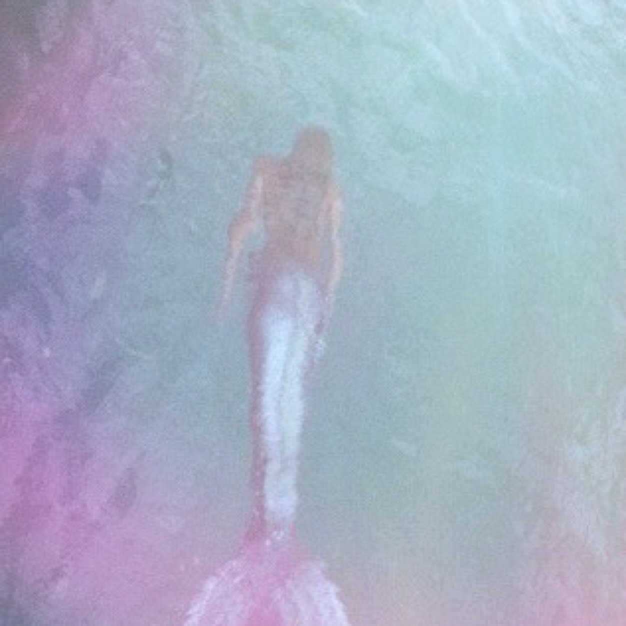 fleetingstars's profile picture. fairy lights & fantasies