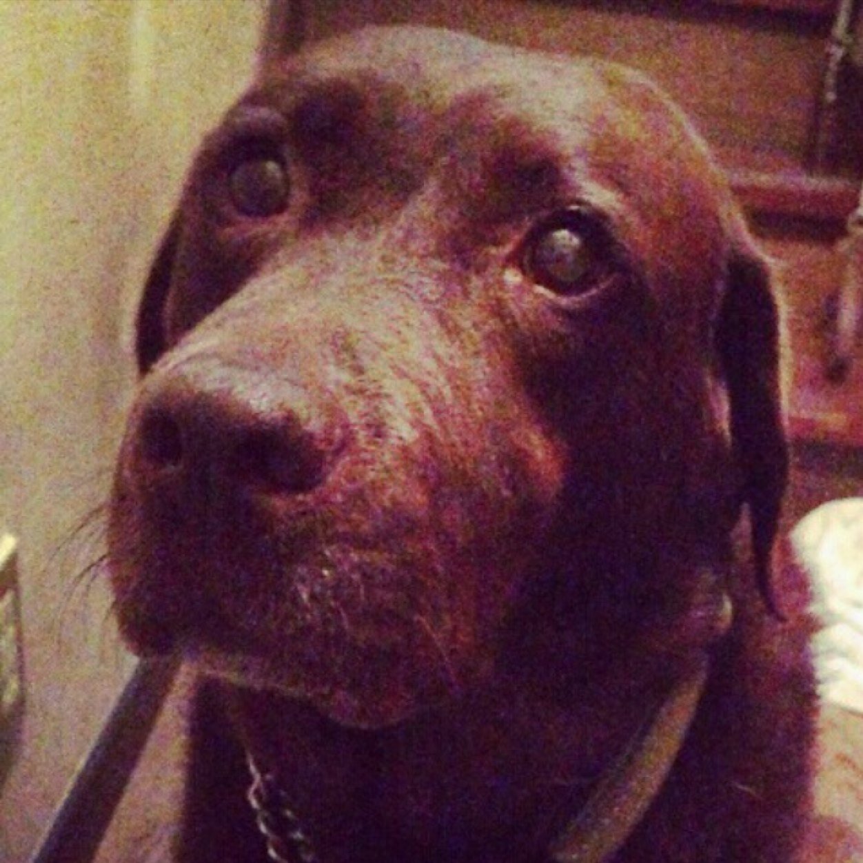 sa10hiro's profile picture. 日常のこととか、思ったことをたまにつぶやきます。