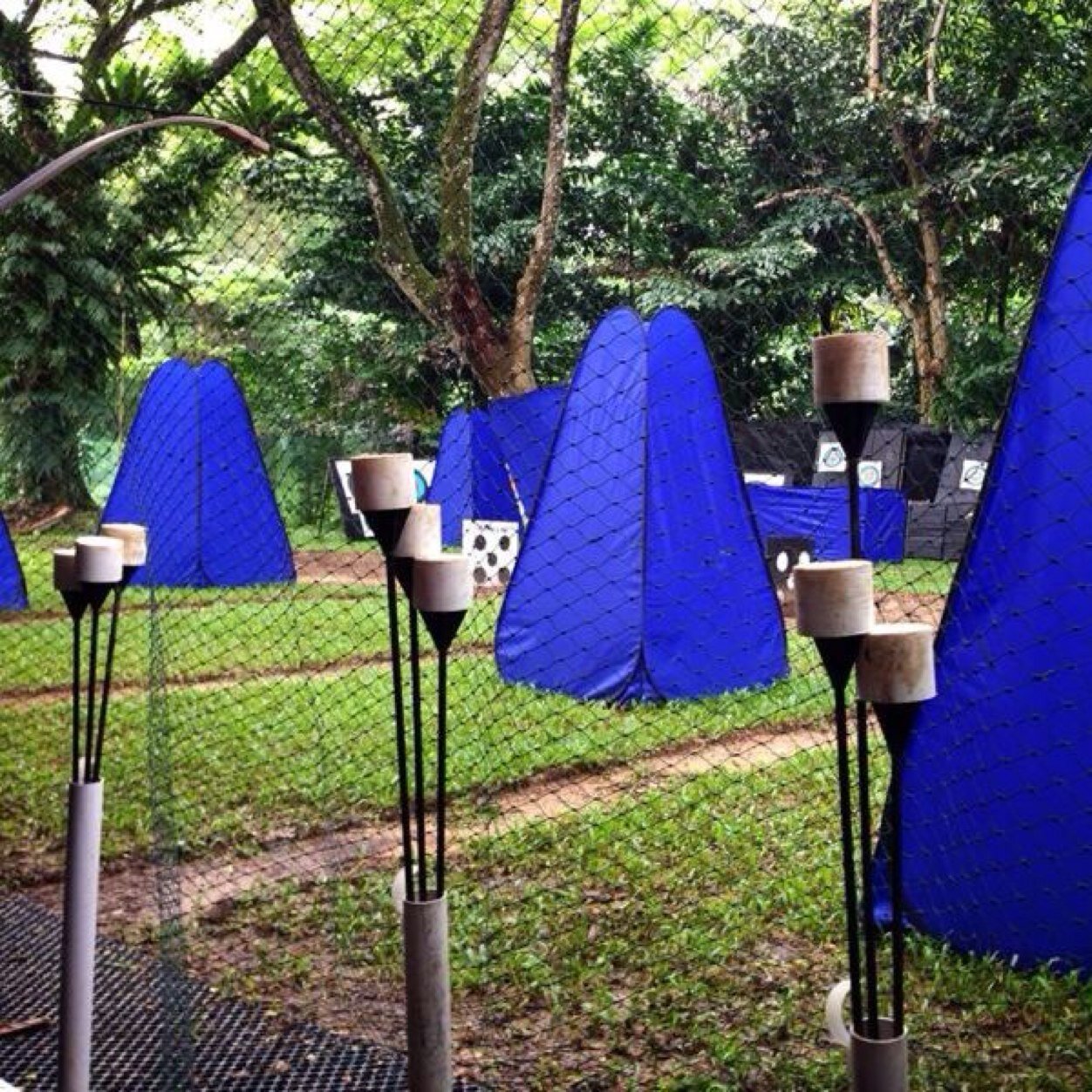 DmArchery's profile picture. 