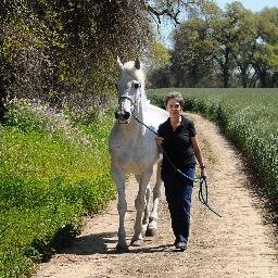 🌻Progressive Grandma… Long-time horse lover/ owner 💞cats & dogs - directed hospital-based child dev. programs. 🚫DMs #Resist #IStandWithUkraine