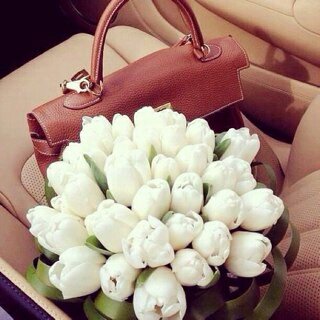 طآلبه جآمعيه ..  آسعى لتطوير ذآتي .. يحكمني مزآجي غآلبآ .. رومآنسيه حآلمه .. للقهوه لذه وللنوم لذه آكثر ..