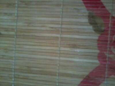 AkuBudakComot's profile picture. Sihat sebelum sakit,muda sebelum tua,kaya sebelum miskin,lapang sebelum sempit & hidup sebelum mati!