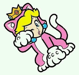 REAL CAT PEACH.And um..Meow ..  #RP|#MatioVerse|#Parody