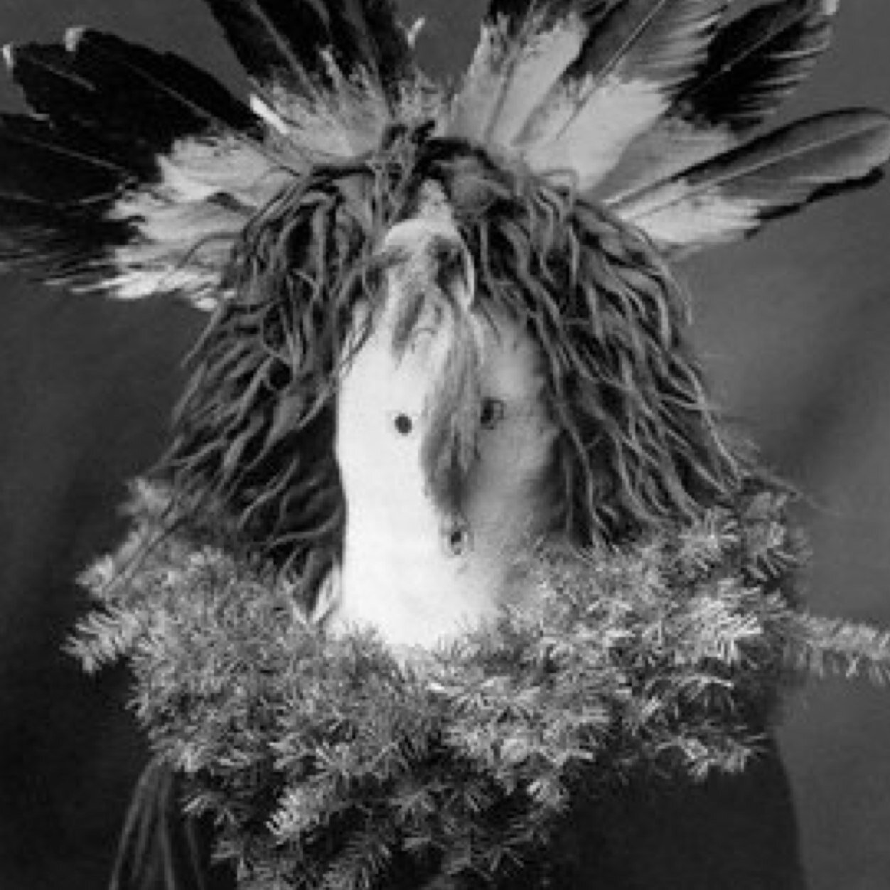 TerryMyles's profile picture. Friggin guy.