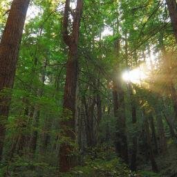 Raising kids and trying to make the world a better place by example. My escape is the great outdoors.
