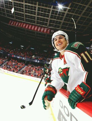 MINNESOTA WILD