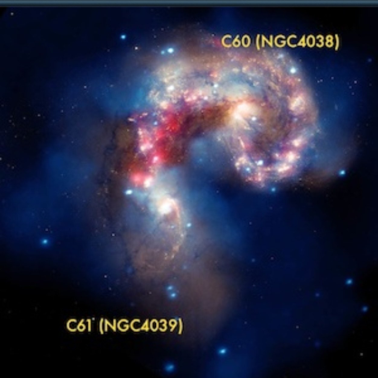 theroxanne_'s profile picture. 