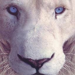 10minutosOfi's profile picture. Compartimos las cosas que son importantes en el mundo. Cosas que inspiran, intrigan y que usted debe ver. Seguinos. :)