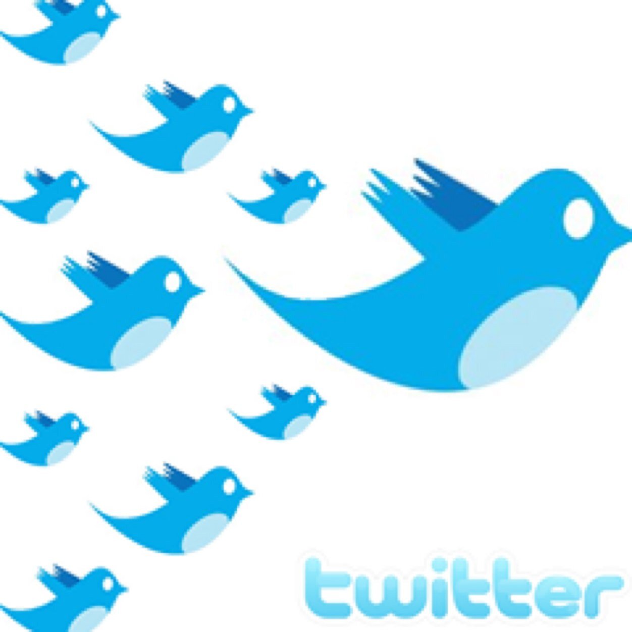 #PROMOTER #TEAMFOLLOWBACK #F4F #FOLLOWFORFOLLOW #TFB #FOLLOWBACK #AUTOFOLLOW #FOLLOW2BEFOLLOWED #FOLLOWPYRAMID
