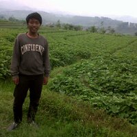 Radyan (@dwifarezha) 's Twitter Profile