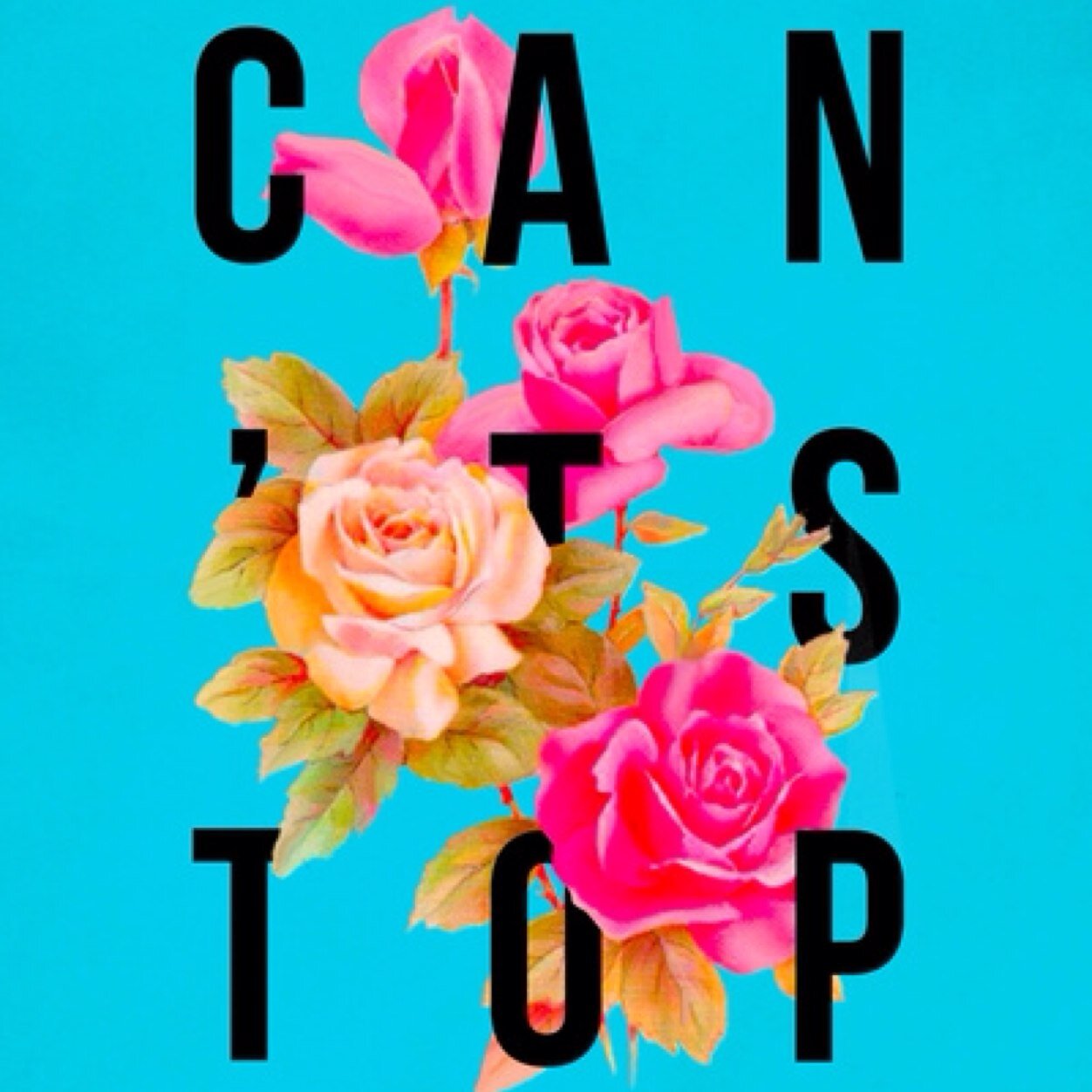 Sandie_G's profile picture. 