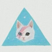 TreeeeO's profile picture. wahahaha